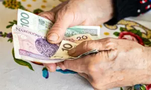 Dłonie starszej osoby liczą banknoty. To symboliczne przedstawienie przywilejów po 75 roku życia, które mogą obejmować wsparcie finansowe.
