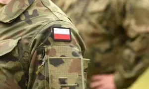 Żołnierz zawodowy w mundurze moro z naszywką z polską flagą.