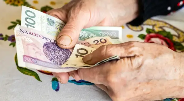 Dłonie liczą pieniądze, być może na poczet renty socjalnej z ZUS.